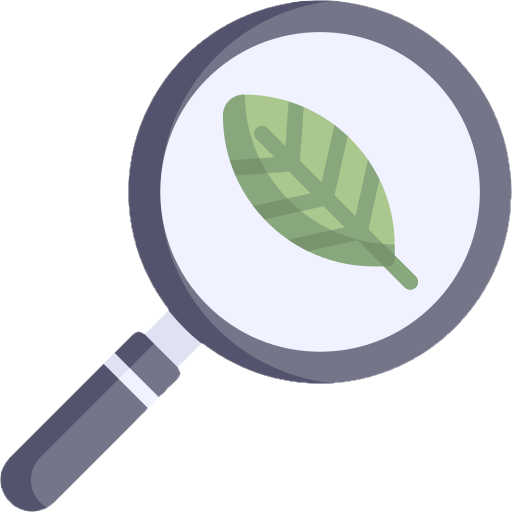 Plant Identification